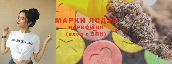 PSILOCYBIN Гусь-Хрустальный