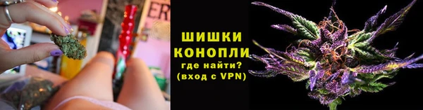 дмт Горняк