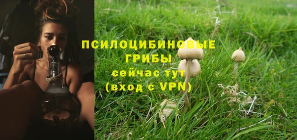 PSILOCYBIN Гусь-Хрустальный
