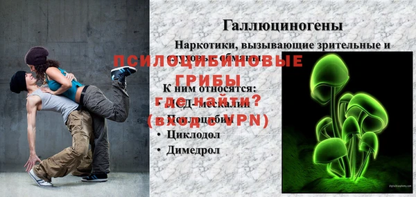 PSILOCYBIN Гусь-Хрустальный