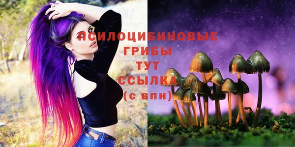СК Горно-Алтайск