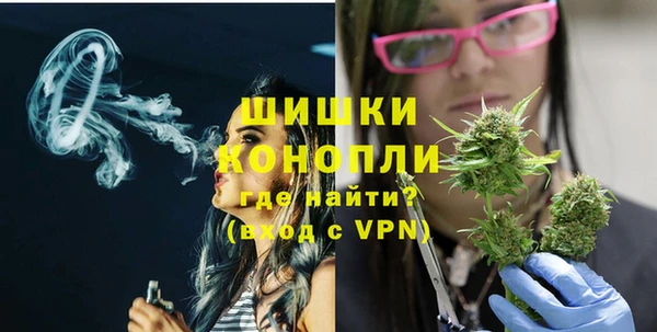 прущий лед Гусев